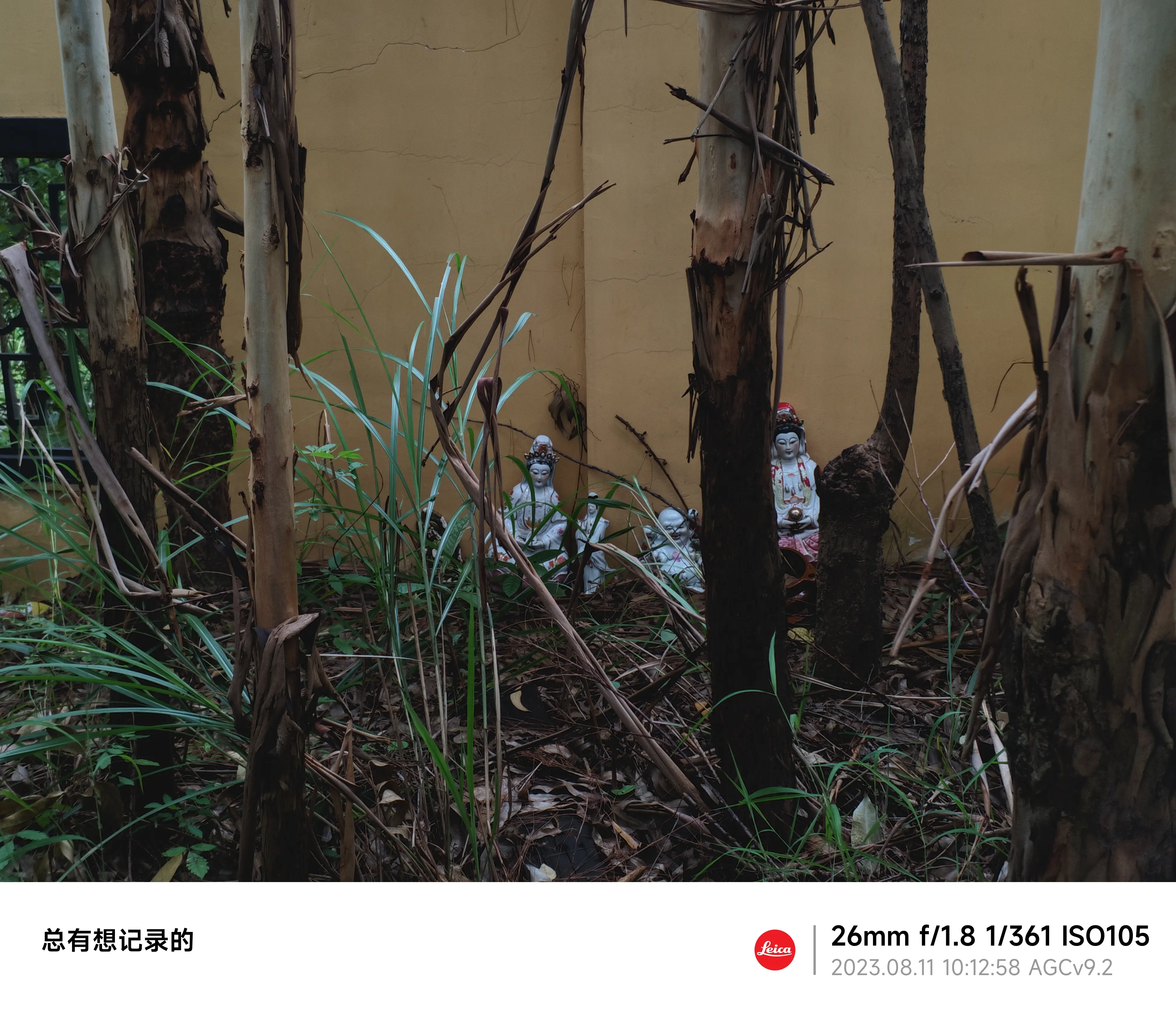 爬山路过的角落