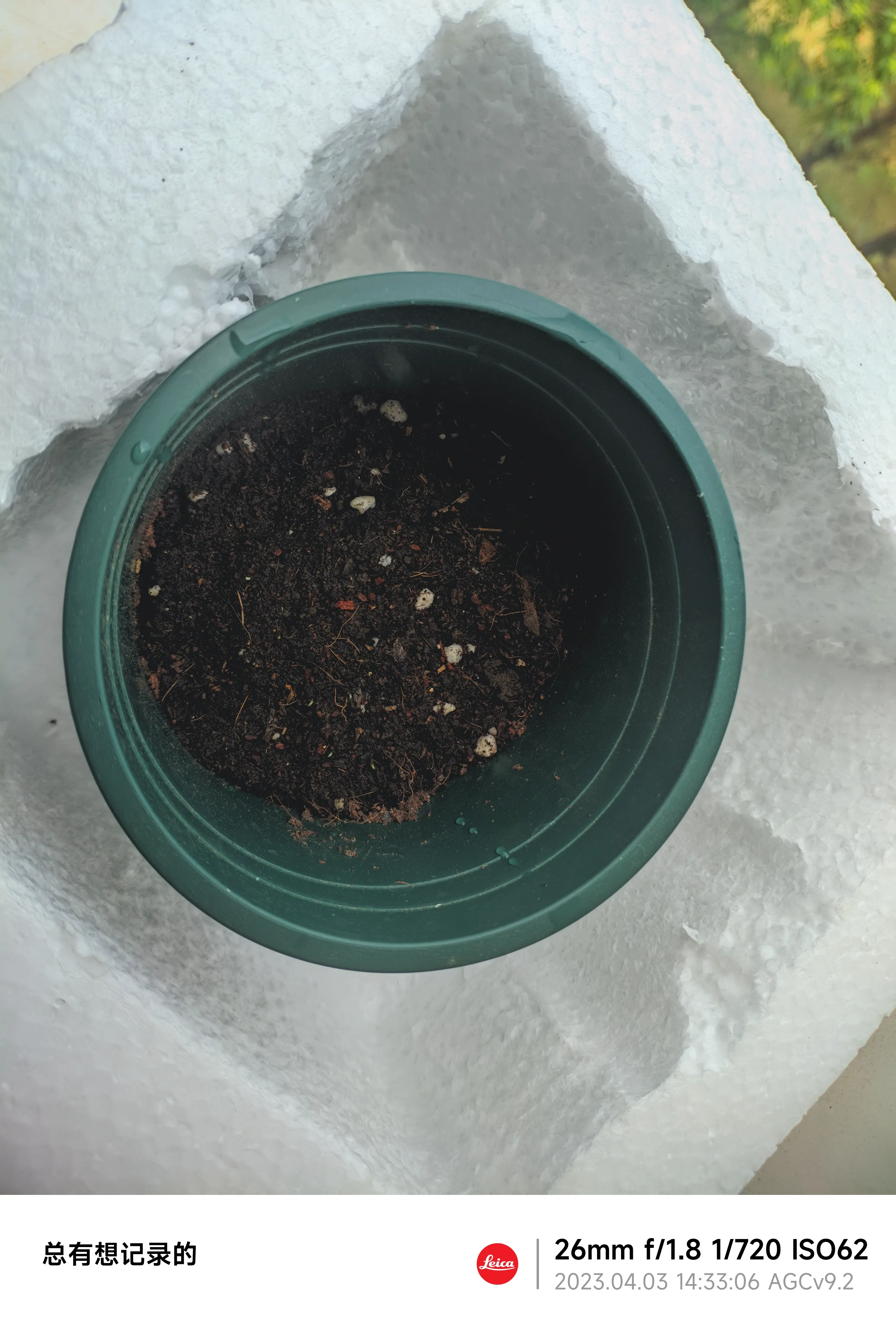 这个要放大仔细看嘞,在这土里好像翡翠边边