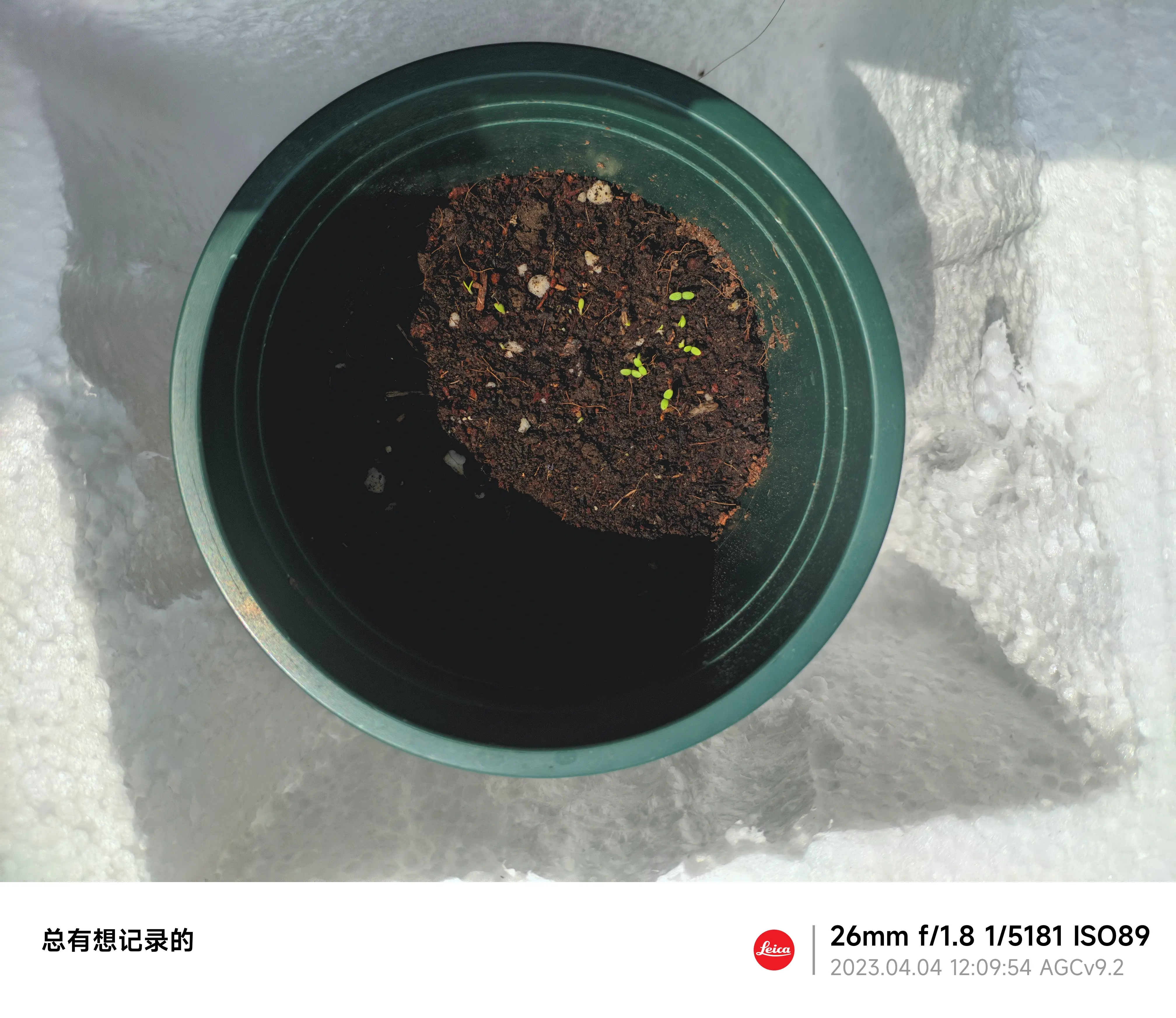 这个就不用放大看了,肉眼可见!