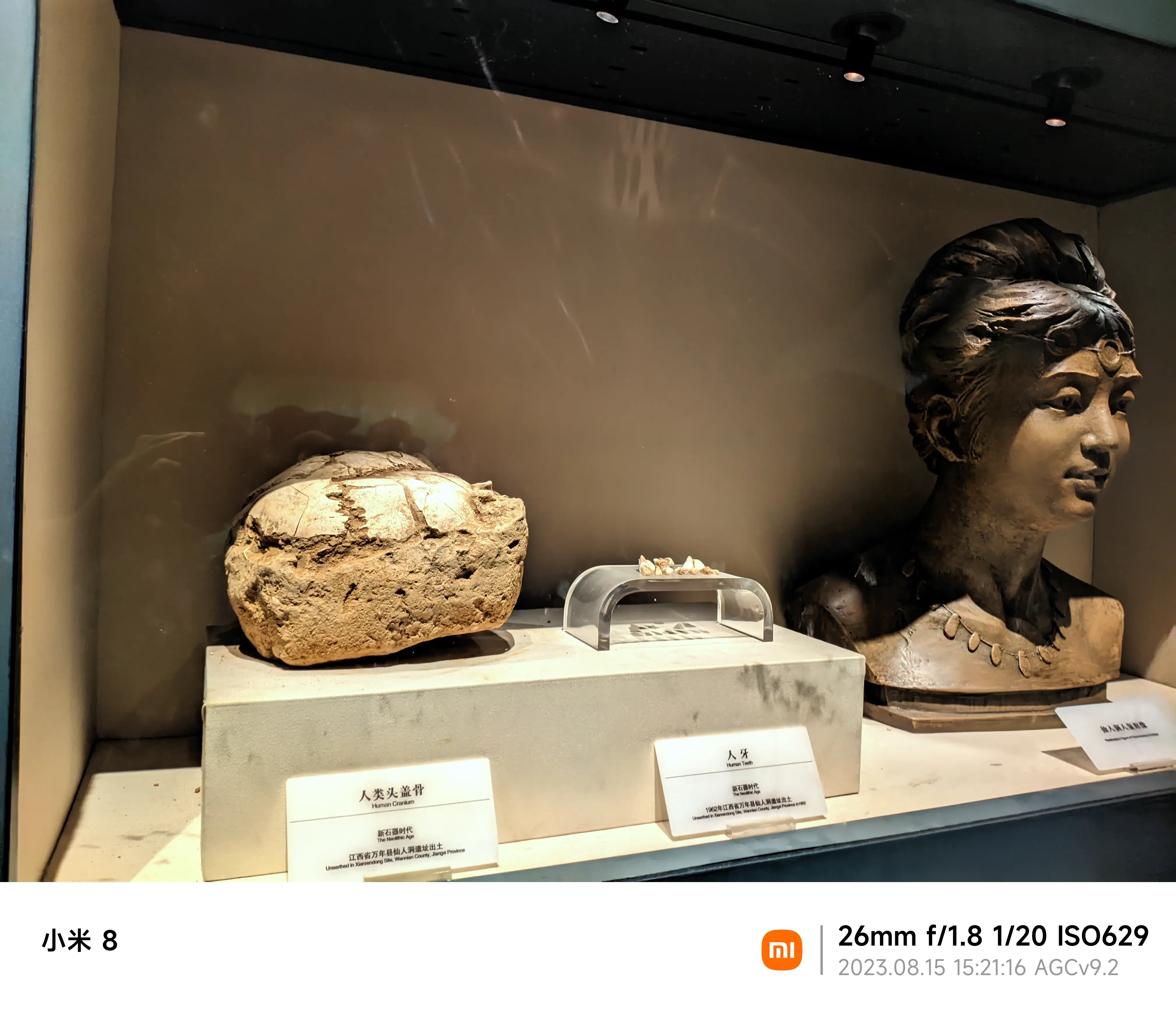 经典头盖骨,哈哈哈哈,感觉每个博物馆都有